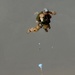 13th MEU skydiving evolution
