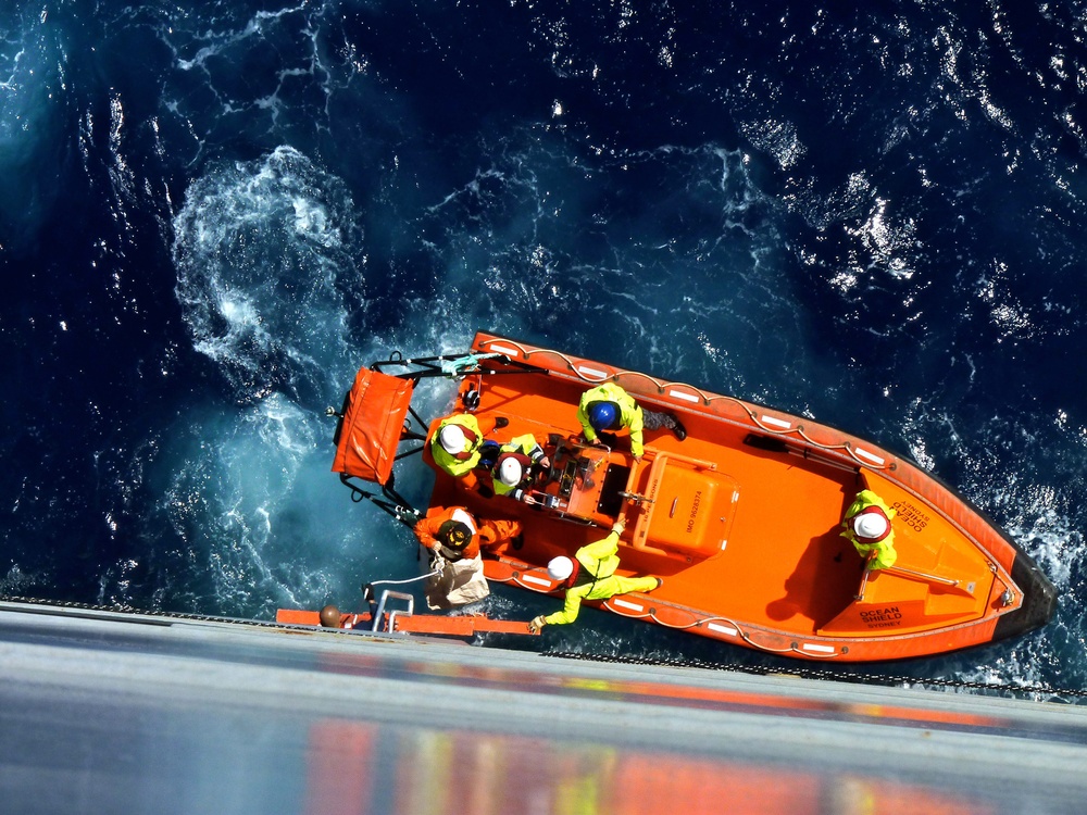 Malaysian airliner search