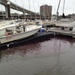 Coast Guard responding to reports of pollution in Charleston City and Ashley Marinas
