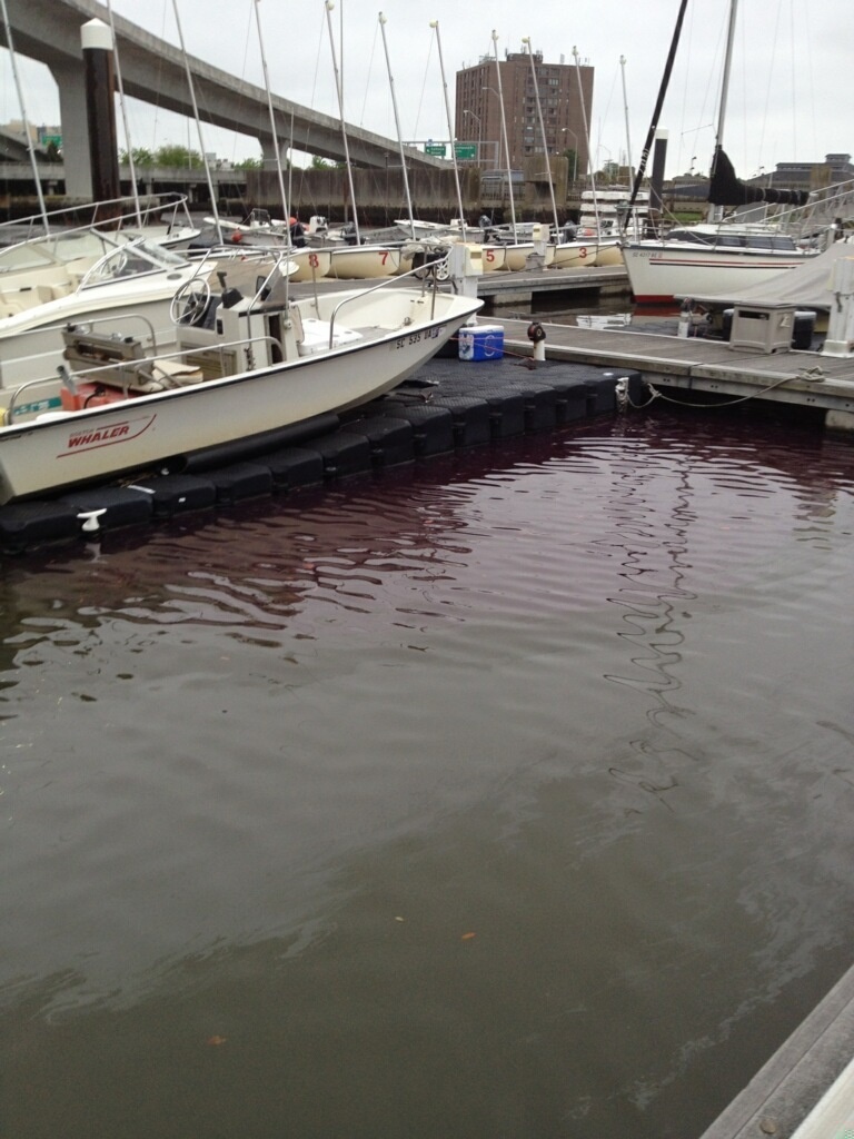 Coast Guard responding to reports of pollution in Charleston City and Ashley Marinas
