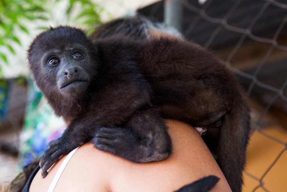 Beyond The Horizon 2014: Guatemala