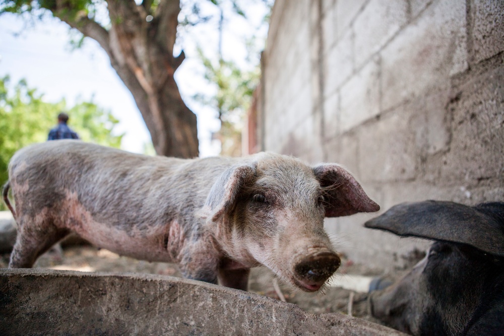 Beyond The Horizon 2014: Guatemala