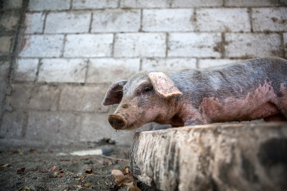 Beyond The Horizon 2014: Guatemala