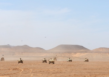 Forging a friendship