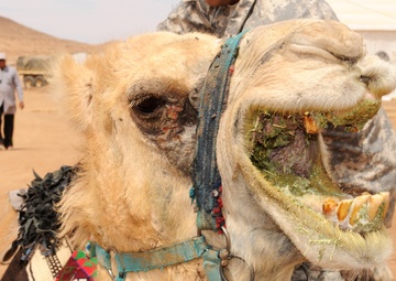 Forging a friendship