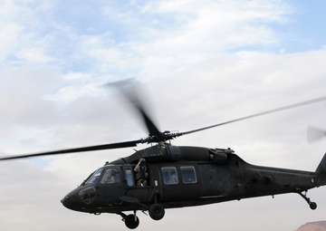 Forging a friendship