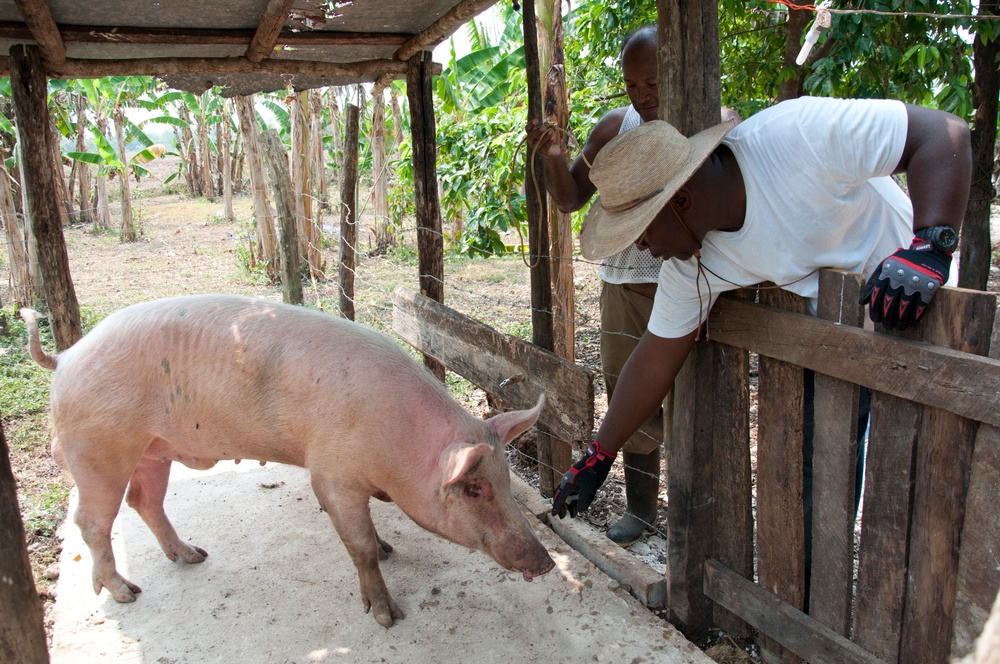VETRETE mission serves animal needs in Belize