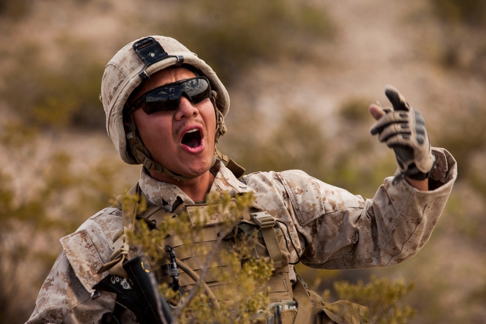 Network Integration Exercise (NIE)