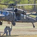 Alabama Guard units collaborate for sling load training