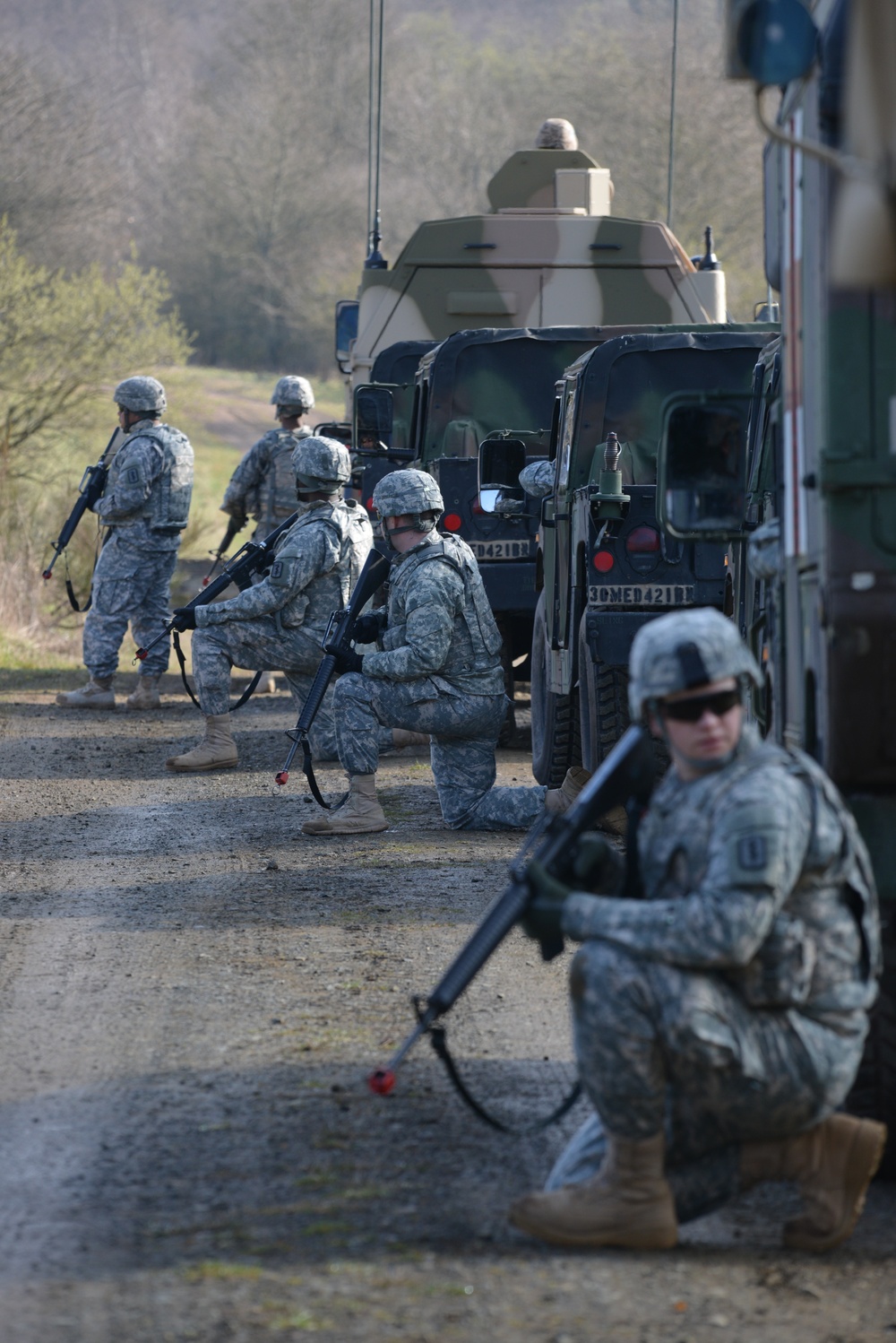 Joint Training Exercise on Baumholder Military Training Area 24-27 Mar 2014