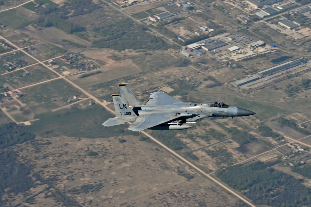 Eagles soar over Baltic skies