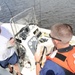 Coast Guard conducts boardings