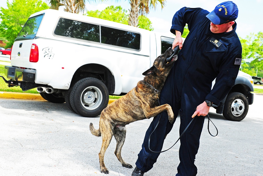 Celebration for Camden County's designation as nation's first Coast Guard Community