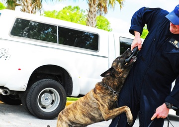 Celebration for Camden County's designation as nation's first Coast Guard Community