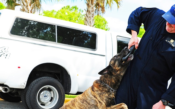 Celebration for Camden County's designation as nation's first Coast Guard Community