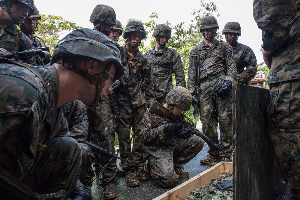Marines conquer harshest jungle environment in DoD