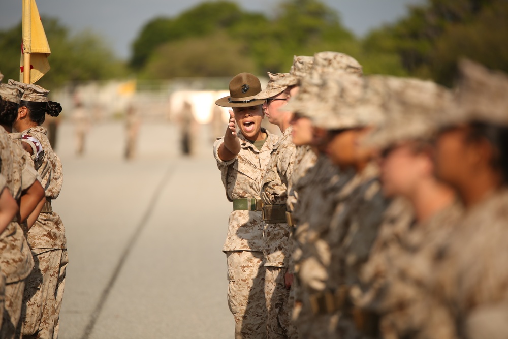 Photo Gallery: Marine drill instructors instill discipline in recruits during close-order drill on Parris Island
