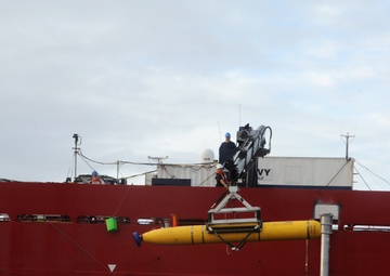 Operation Southern Indian Ocean