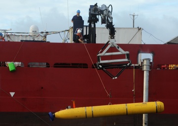 Operation Southern Indian Ocean