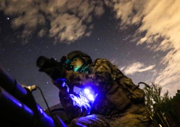 3D Ranger Battalion task force training