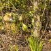 Marines participate in counter IED training