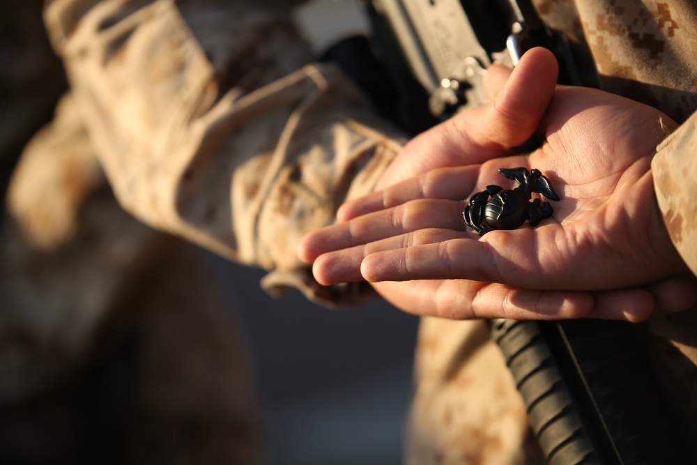 Photo Gallery: Recruits earn title Marine on Parris Island