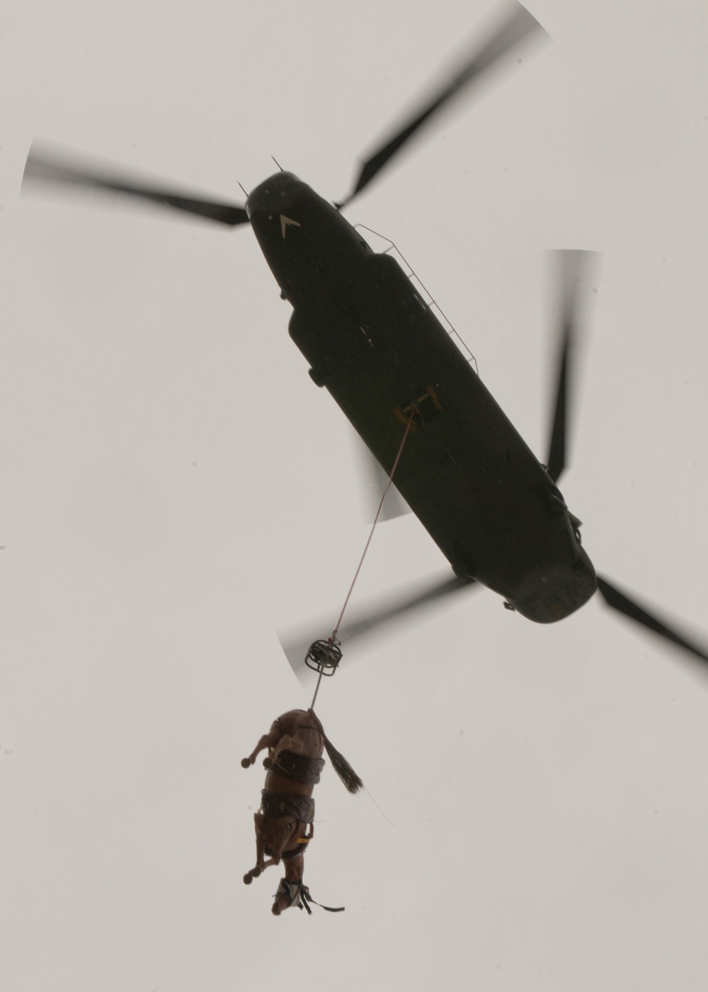 Nevada Guard Mustangs improve horse-rescue skills