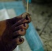 Fixing fungus in Dominican Republic