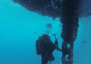 Deep water fleet mooring maintenance