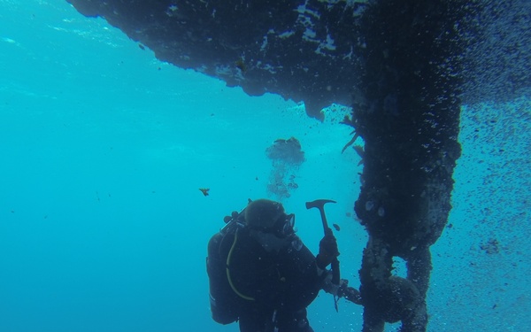 Deep water fleet mooring maintenance