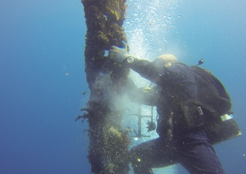 Deep water fleet mooring maintenance