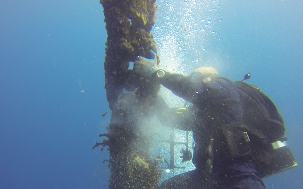 Deep water fleet mooring maintenance