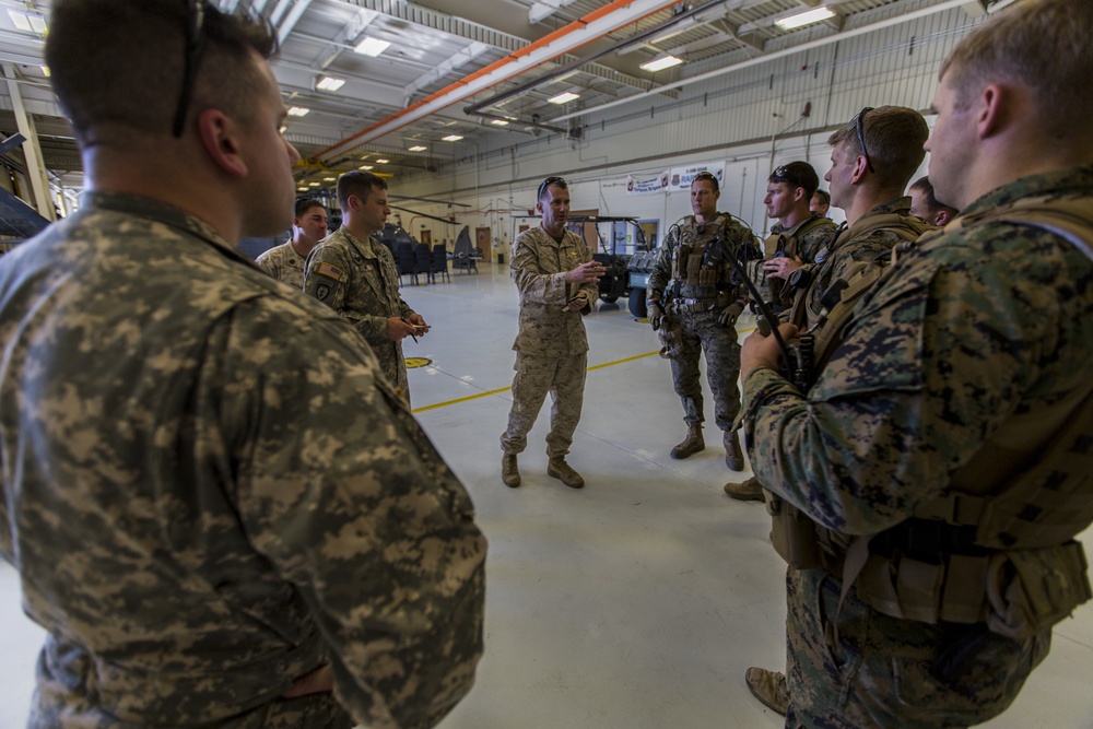 Bravo Company, 1st Reconnaissance Battalion, Combat Readiness Evaluation