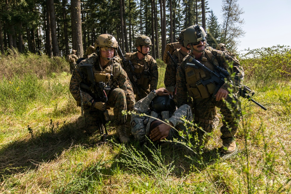 Bravo Company, 1st Reconnaissance Battalion, Combat Readiness Evaluation