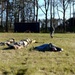 Combat readiness training