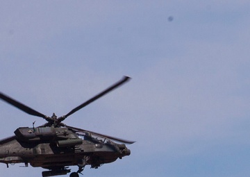 America’s Battalion takes Texas: Destroy the enemy from the air