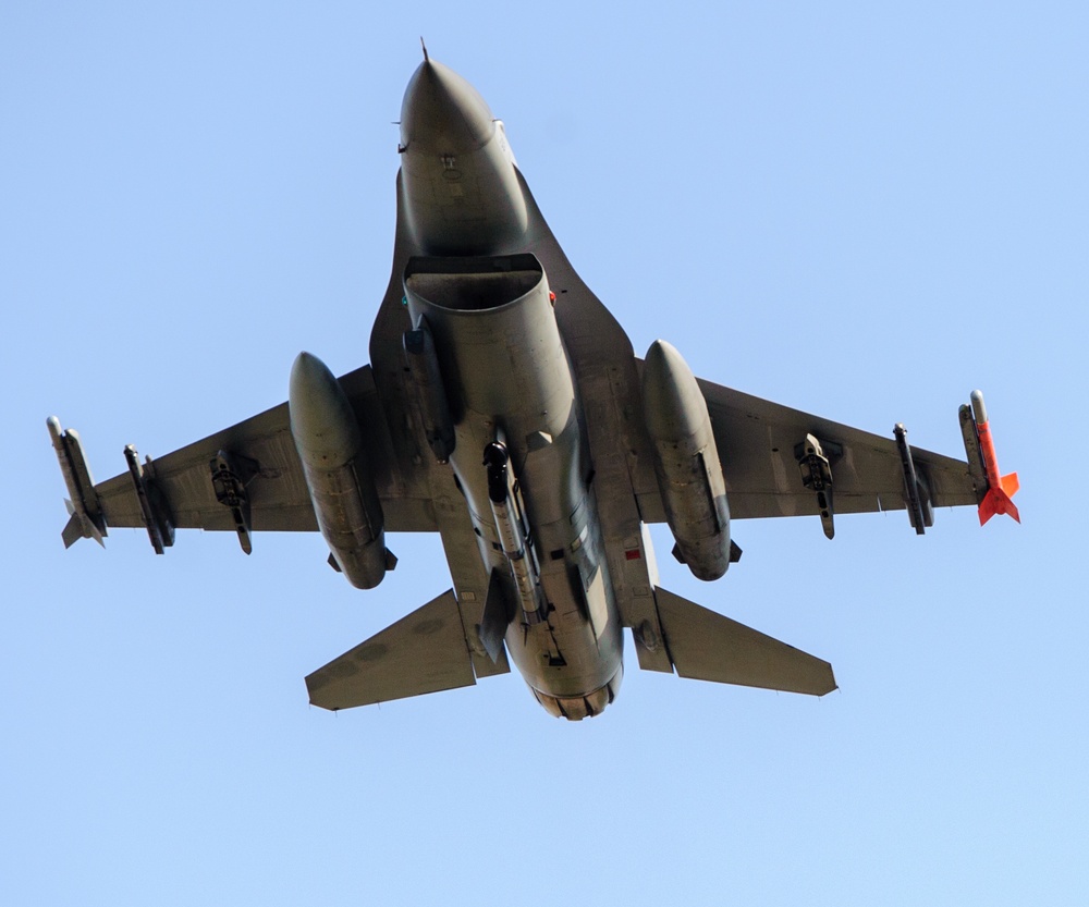 Wolves sink their teeth into mission