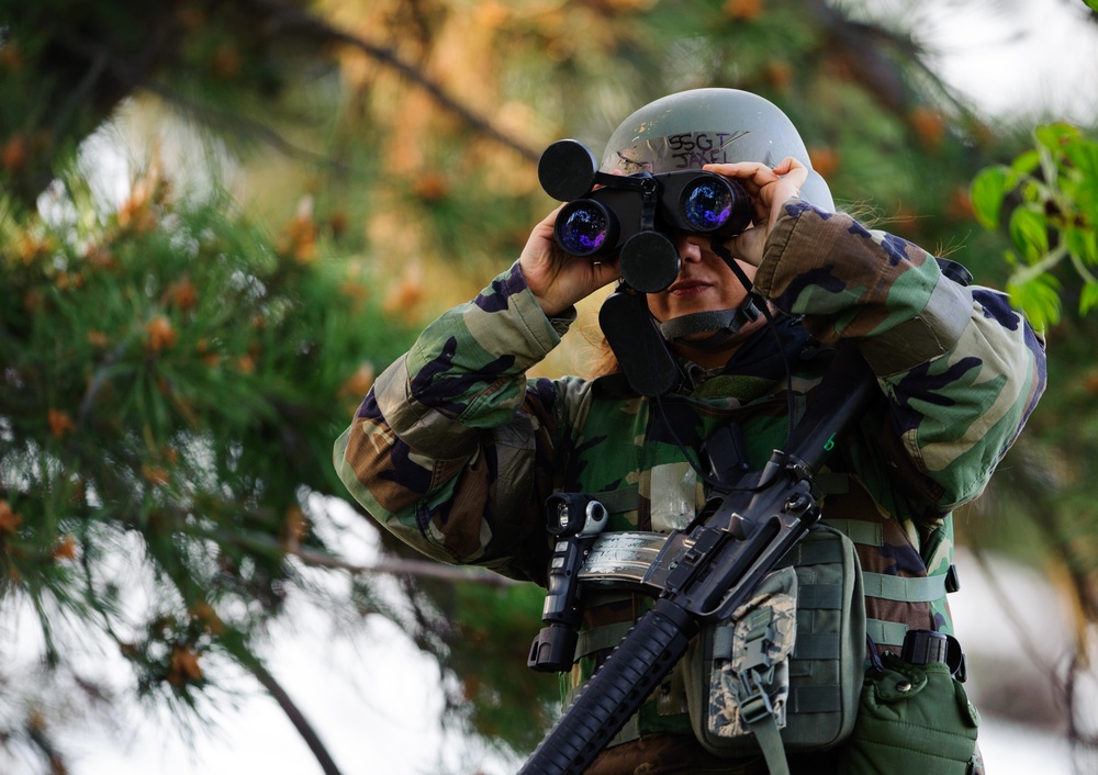 Wolves sink their teeth into mission