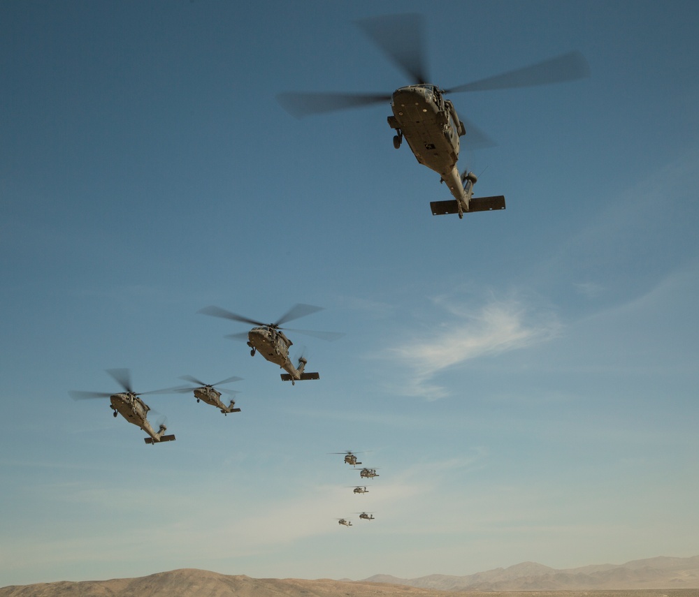 Black Hawks from Hawaii fly during pre-deployment training