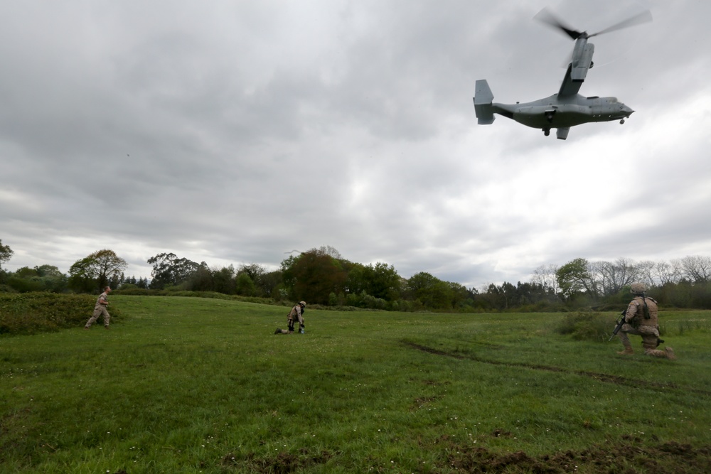 U.S. Marines, Spanish Army train infantry skills together