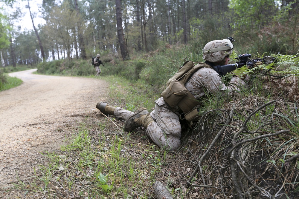 U.S. Marines, Spanish Army train infantry skills together