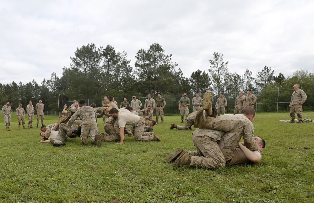 U.S. Marines, Spanish Army train infantry skills together