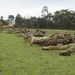 Australian Army Skill At Arms Meeting 2014