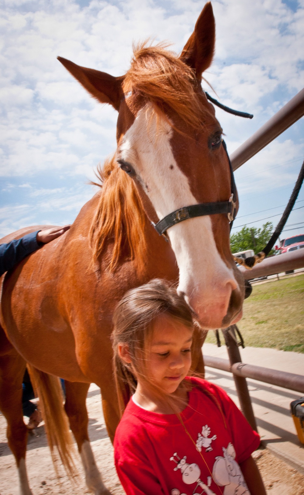 Mack the 1st Cavalry Division horse is a gentle giant