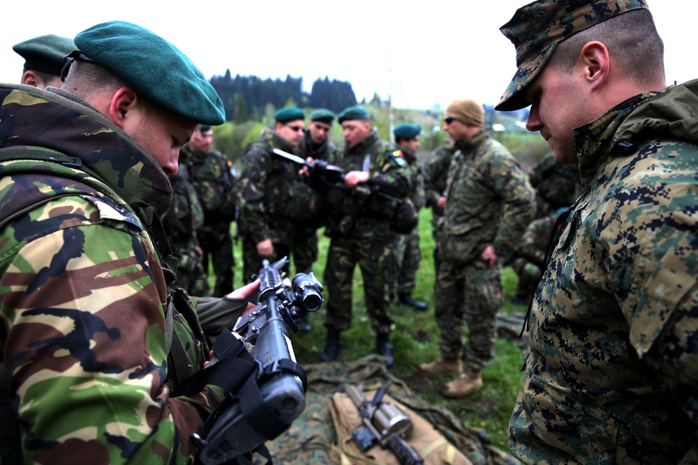 U.S. Marines, Romanians begin Exercise Platinum Lynx