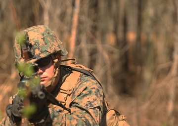 Reawakening the rifleman