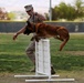 Combat Center welcomes local students