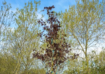 RAF Lakenheaths SARC team fosters culture of dignity and respect