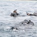 Recon Marines and sailors dive into training