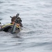 Recon Marines and sailors dive into training